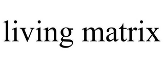 LIVING MATRIX