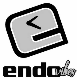 E ENDOVIBES