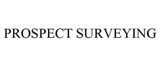 PROSPECT SURVEYING