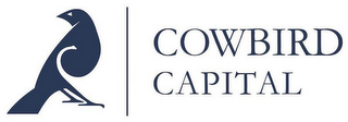 COWBIRD CAPITAL