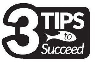 3 TIPS TO SUCCEED