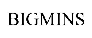 BIGMINS