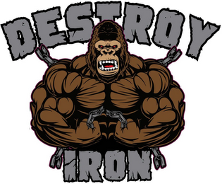 DESTROY IRON