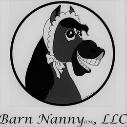 BARN NANNY, LLC  JCAMERON 2016
