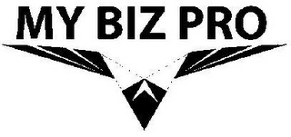 MY BIZ PRO