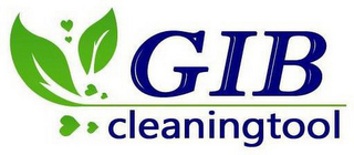 GIB CLEANINGTOOL