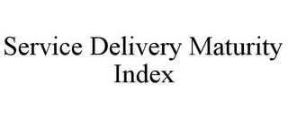 SERVICE DELIVERY MATURITY INDEX