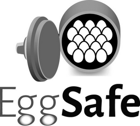 EGGSAFE