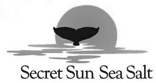 SECRET SUN SEA SALT