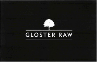 GLOSTER RAW