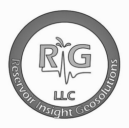 RIG LLC RESERVOIR INSIGHT GEOSOLUTIONS