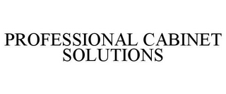 PROFESSIONAL CABINET SOLUTIONS