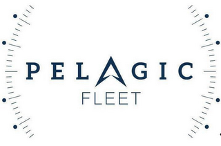 PELAGIC FLEET