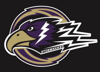 STORMHAWKS