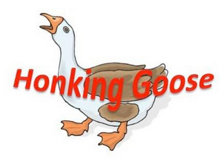 HONKING GOOSE