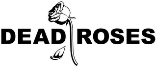 DEAD ROSES