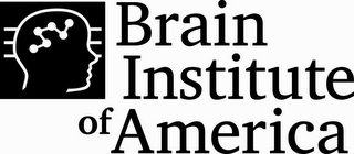 BRAIN INSTITUTE OF AMERICA