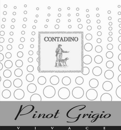 CONTADINO PINOT GRIGIO VIVACE