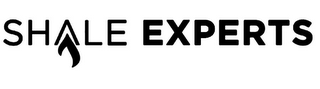 SHALE EXPERTS
