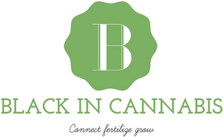 B BLACK IN CANNABIS CONNECT FERTILIZE GROW