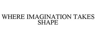 WHERE IMAGINATION TAKES SHAPE