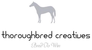 THOROUGHBRED CREATIVES BRED TO WIN