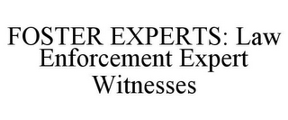 FOSTER EXPERTS: LAW ENFORCEMENT EXPERT WITNESSES