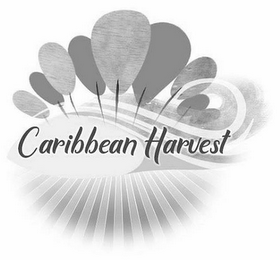 CARIBBEAN HARVEST
