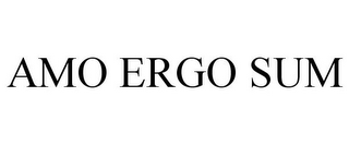 AMO ERGO SUM