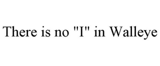 THERE IS NO "I" IN WALLEYE