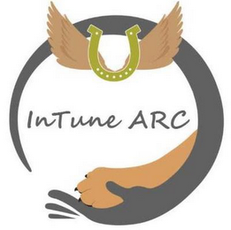 INTUNE ARC