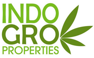 INDO GRO PROPERTIES