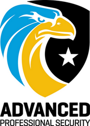 ADVANCED PROFESSIONAL SECURITY