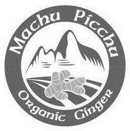 MACHU PICCHU ORGANIC GINGER