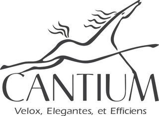 CANTIUM VELOX, ELEGANTES, ET EFFICIENS