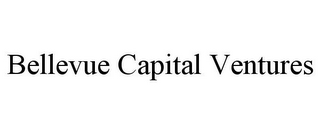 BELLEVUE CAPITAL VENTURES