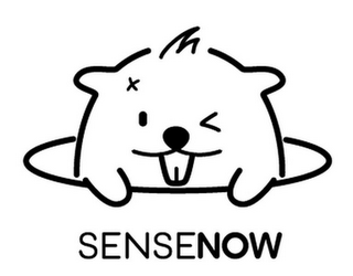 SENSENOW