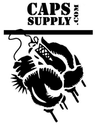 CAPS SUPPLY .COM