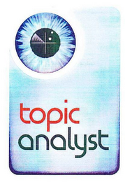 TOPIC ANALYST