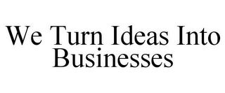 WE TURN IDEAS INTO BUSINESSES