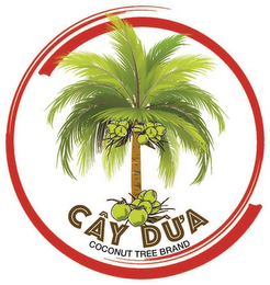 CAY DUA COCONUT TREE BRAND