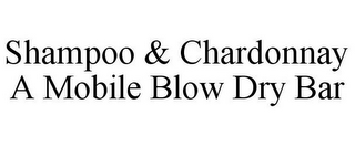 SHAMPOO & CHARDONNAY A MOBILE BLOW DRY BAR