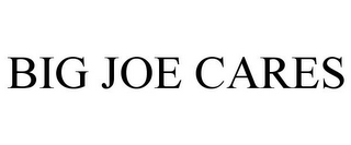 BIG JOE CARES