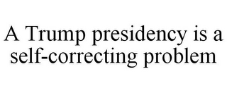 A TRUMP PRESIDENCY IS A SELF-CORRECTING PROBLEM