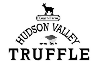 COACH FARM HUDSON VALLEY TRUFFLE