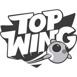 TOP WING