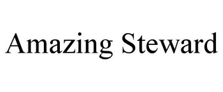 AMAZING STEWARD