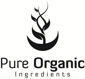 PURE ORGANIC INGREDIENTS