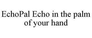 ECHOPAL ECHO IN THE PALM OF YOUR HAND