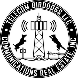 TELECOM BIRDDOGS LLC COMMUNICATIONS REAL ESTATE, INC